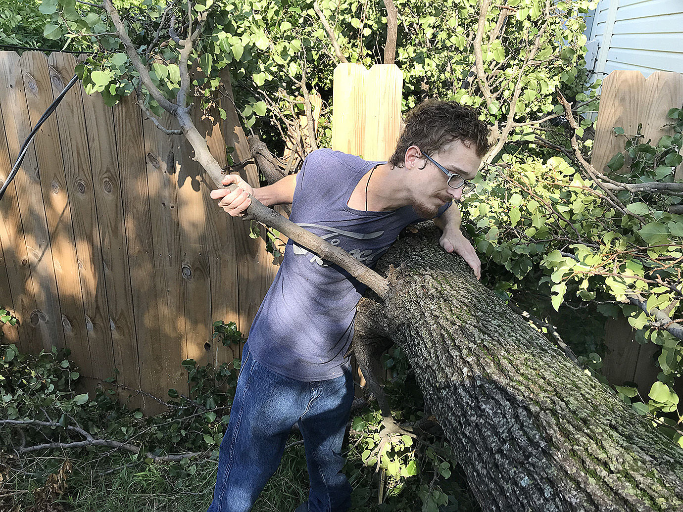 TREE DOWN ELECTRIC.jpg